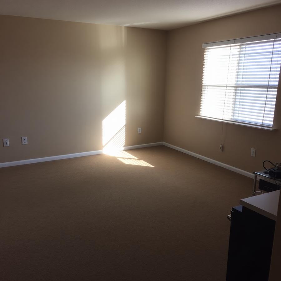Dim empty carpeted room